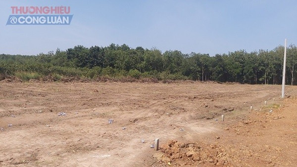 Dia oc Duc Anh “ve” du an ma o Binh Phuoc: Khach hang can than ngam 