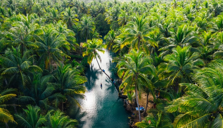 Philippines là một trong những quốc gia có đa dạng sinh học phong phú nhất thế giới. Ảnh: Shutterstock.