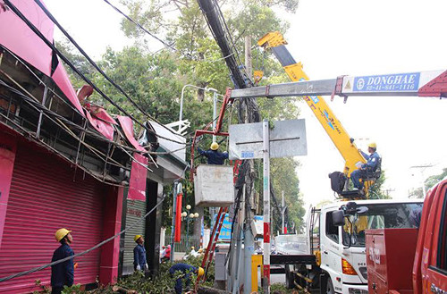 TP HCM: Cay co thu bat goc, de sap mot cua hang kinh doanh