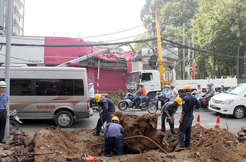 TP HCM: Cay co thu bat goc, de sap mot cua hang kinh doanh-Hinh-2