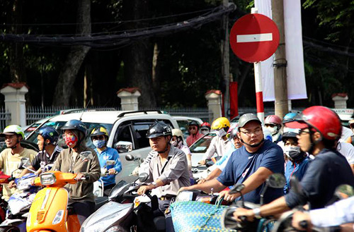 TP HCM: Cay co thu bat goc, de sap mot cua hang kinh doanh-Hinh-3