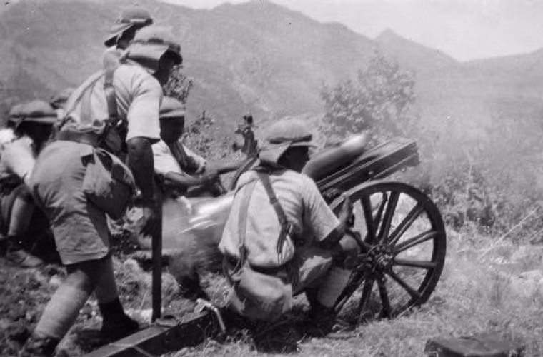 Sơn pháo là kiểu pháo có nòng ngắn, tầm gần, nhồi ít thuốc súng. Sơn pháo có đôi bánh xe bò lớn, thường là giá cứng, có thể có hoặc không lá chắn nhỏ. Nhìn chung, sơn pháo rất gọn nhẹ, có thể kéo bằng người hay súc vật trong thời kỳ cơ giới chưa phát triển, thuận tiện dùng cho các trận đánh trên núi.