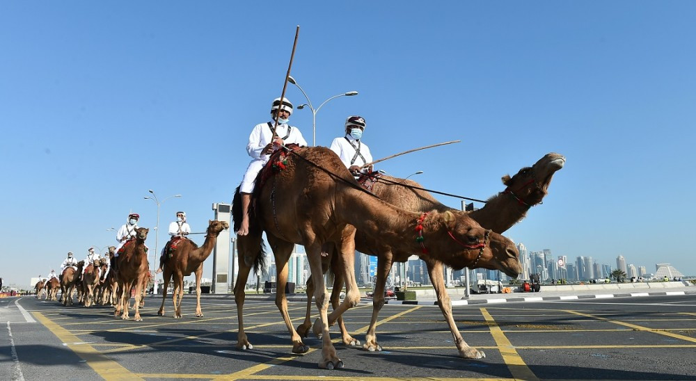 Đặc biệt, lực lượng độc nhất vô nhị của Qatar là lạc đà cũng xuất hiện trong cuộc duyệt binh lần này. Nguồn ảnh: BMDP.