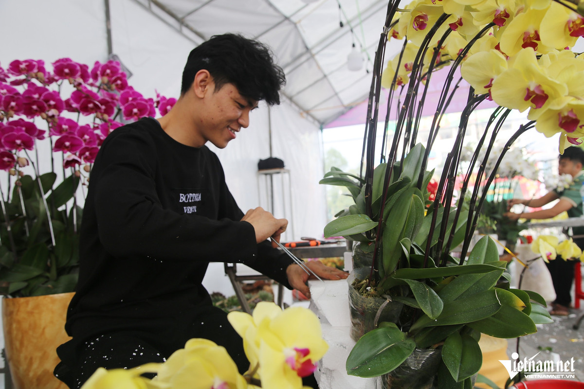 Thợ cắm hoa lan hồ điệp “chạy sô”, đếm cành thu tiền - Hình 3 Tho cam hoa lan ho diep “chay so”, dem canh thu tien-Hinh-3