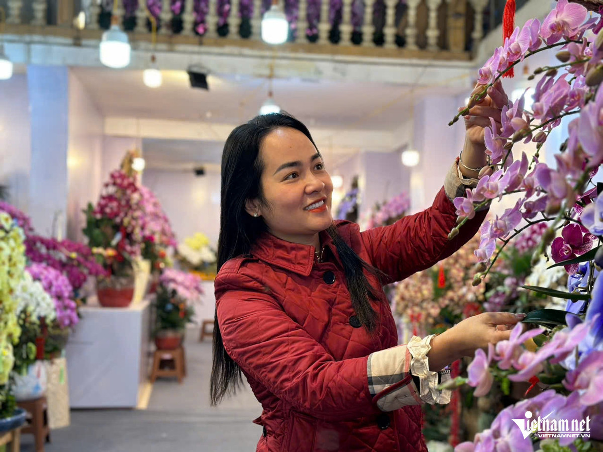 Thợ cắm hoa lan hồ điệp “chạy sô”, đếm cành thu tiền - Hình 2 Tho cam hoa lan ho diep “chay so”, dem canh thu tien-Hinh-2