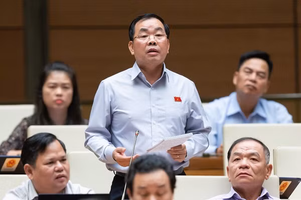 Tranh luan ve viec dai bieu Quoc hoi cam giay doc “e a”-Hinh-2