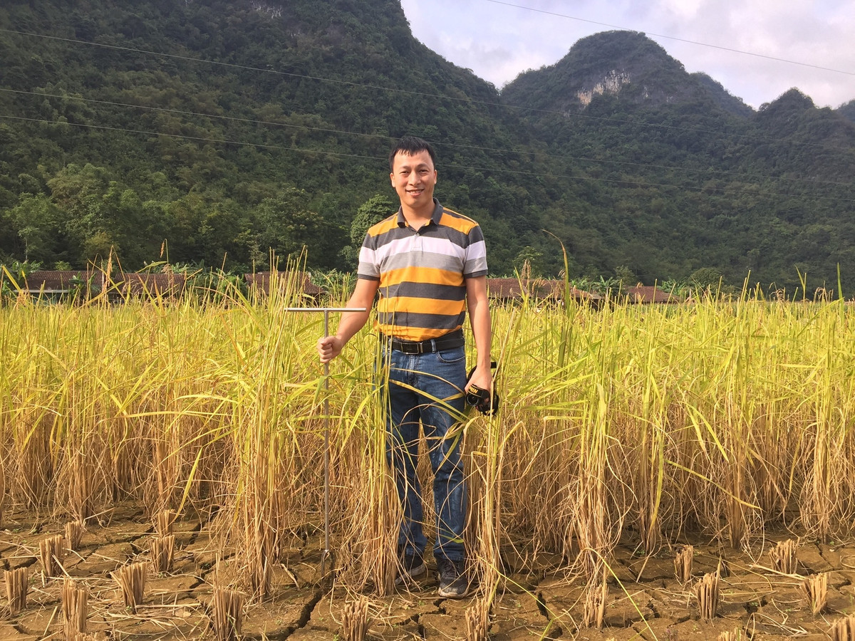 Giao su tre nhat nam 2022: Nang long voi rom ra, dong ruong-Hinh-3