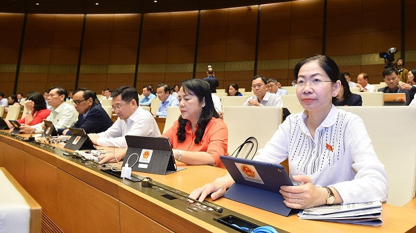 Quoc hoi nhat tri thanh lap Thanh tra Tong cuc, Thanh tra so-Hinh-2