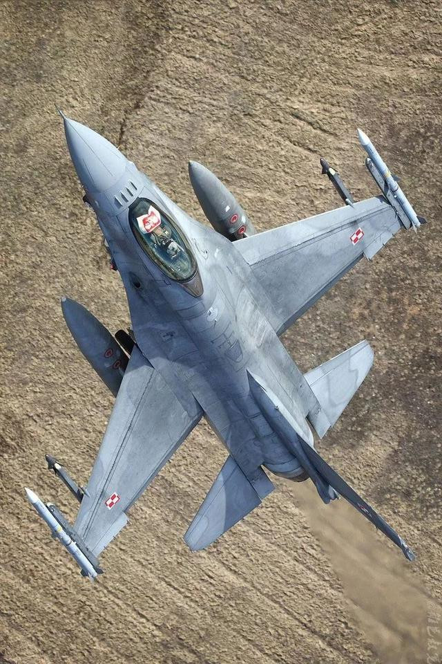 Về hiệu suất kỹ thuật, máy bay chiến đấu J-10 không phải là máy bay chiến đấu hạng nặng thế hệ thứ tư, trang bị hai động cơ mà Không quân Iran yêu thích; Từ góc độ chiến thuật, máy bay chiến đấu J-10 hoạt động như một máy bay đánh chặn phòng không nội địa trong Không quân Trung Quốc.