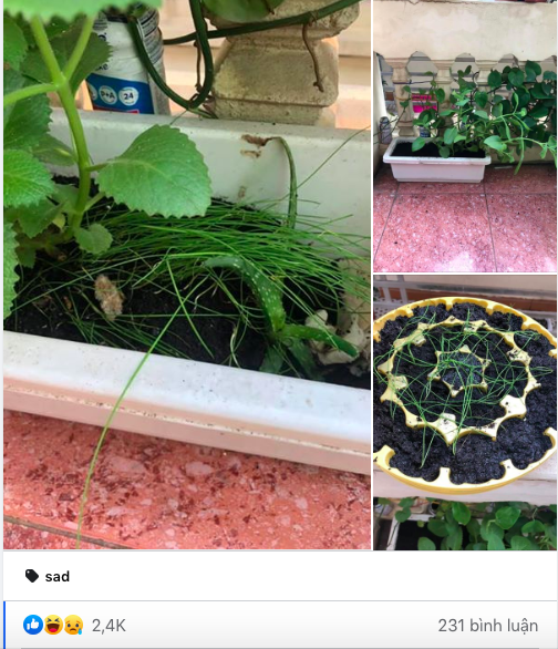 Vo lui cui trong he cho con nho, chong nho sach va cai ket