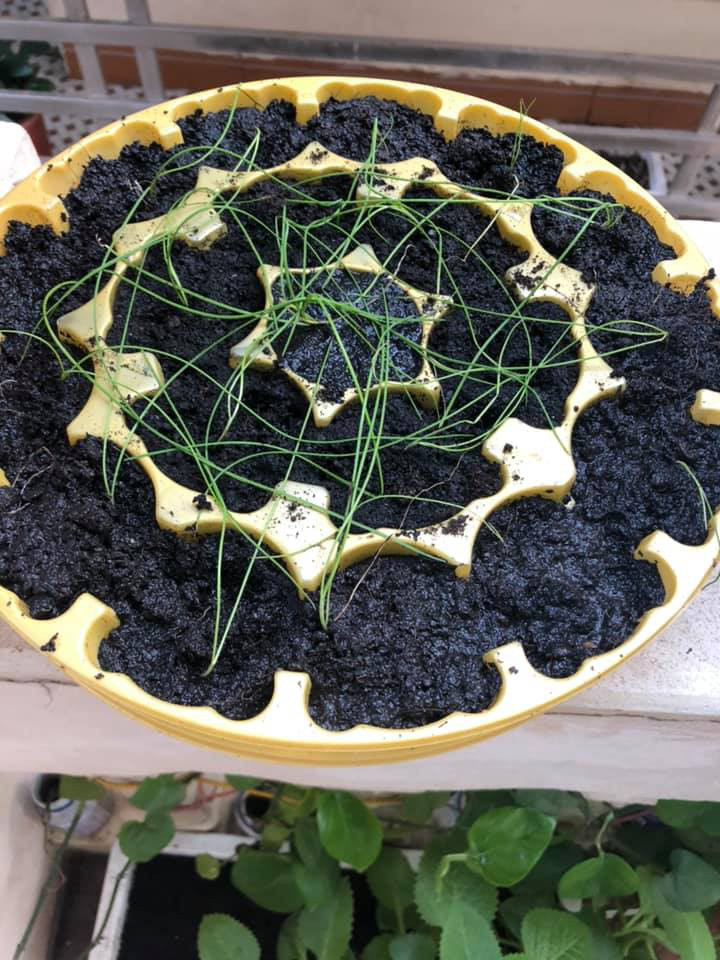 Vo lui cui trong he cho con nho, chong nho sach va cai ket-Hinh-3