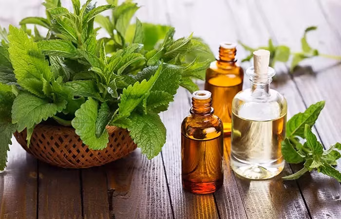 Nhung loai tinh dau co kha nang chong cam lanh