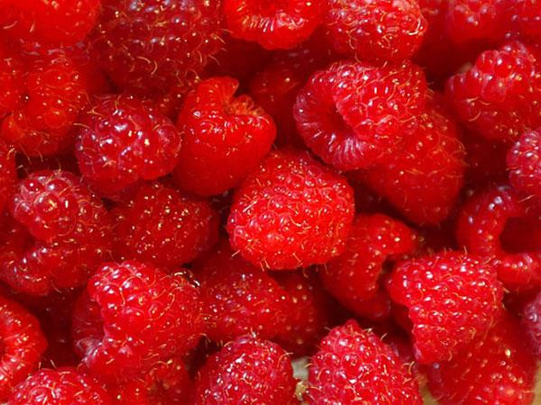 Mâm xôi: 100g quả mâm xôi chứa 6,5g chất xơ. Theo các chuyên gia, quả mâm xôi có tác dụng ngăn ngừa, cải thiện tình trạng gan nhiễm mỡ và béo phì. Ngoài ra, mâm xôi cũng được cho là có tác dụng rất trong trong việc làm giảm hàm lượng triacylglycerol ở gan.