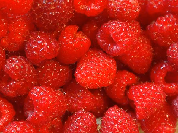 Mâm xôi: 100g quả mâm xôi chứa 6,5g chất xơ. Theo các chuyên gia, quả mâm xôi có tác dụng ngăn ngừa, cải thiện tình trạng gan nhiễm mỡ và béo phì. Ngoài ra, mâm xôi cũng được cho là có tác dụng rất trong trong việc làm giảm hàm lượng triacylglycerol ở gan.