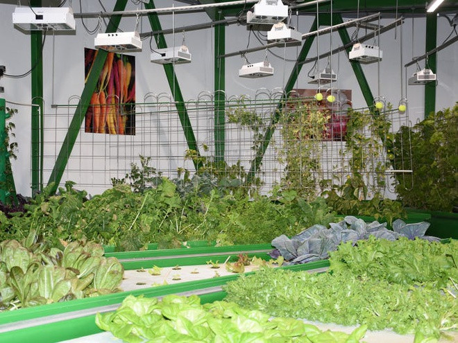 Để những cư dân ở đây có thể sống lâu dài trong môi trường dưới lòng đất, công trình này trang bị sẵn những bể nuôi cá và các vườn rau thủy canh.