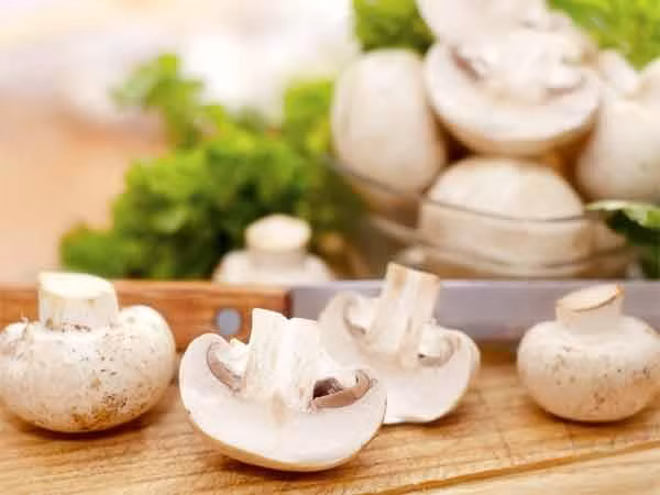 Nấm: Nấm là thực phẩm rất tốt để bảo vệ bạn khỏi ung thư vú. Nhiều nghiên cứu chứng minh rằng, ăn nấm tươi thường xuyên sẽ giúp giảm nguy cơ ung thư vú ở phụ nữ tiền mãn kinh.