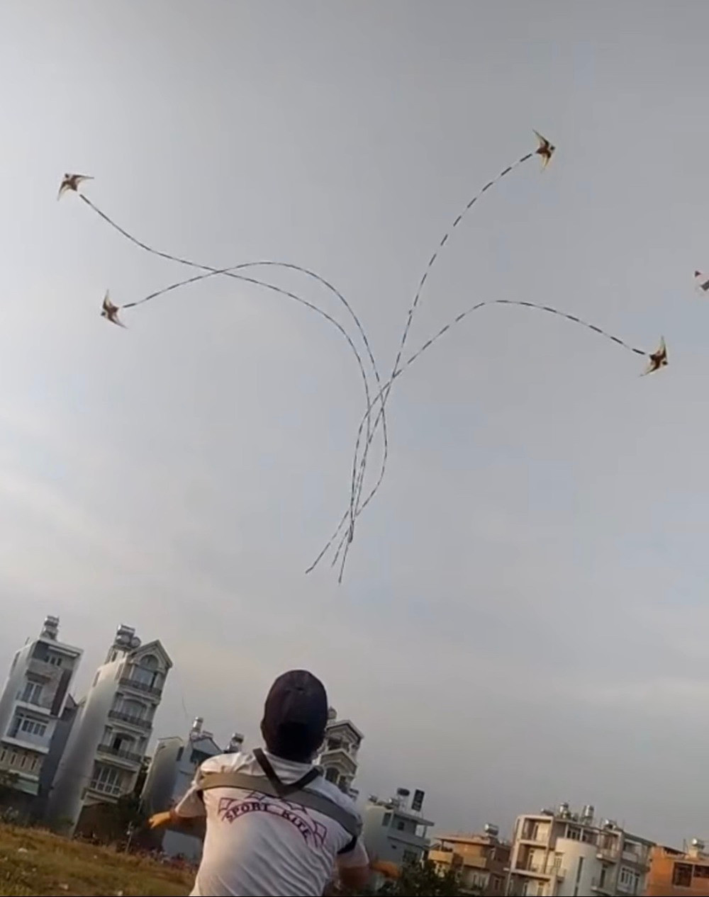 Man nhan man tha dieu 3D-Hinh-2