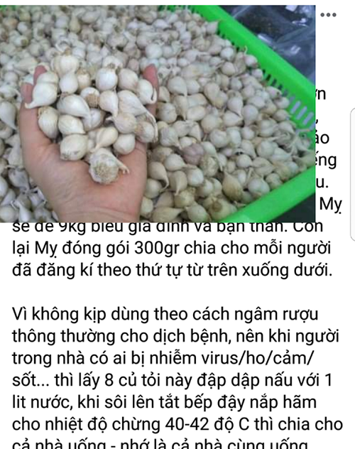 Thuc hu toi Ly Son, bo ket, den xong tinh dau... co the tieu diet virus corona