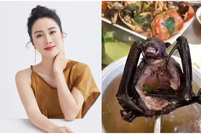 Giữa đại dịch corona, Diệp Tuyền cũng kể lại, cô từng có trải nghiệm khó chịu khi bị nhà sản xuất một chương trình ép ăn thịt dơi khi ghi hình. Một số nghệ sĩ tham gia cùng cô phản ứng lại thì bị ê-kíp phê bình là không chuyên nghiệp, thiếu hợp tác hay thái độ ngôi sao.