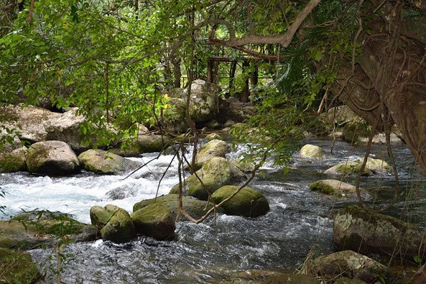 ‘Nen bo tuc boc mo di, lac hau lam roi’