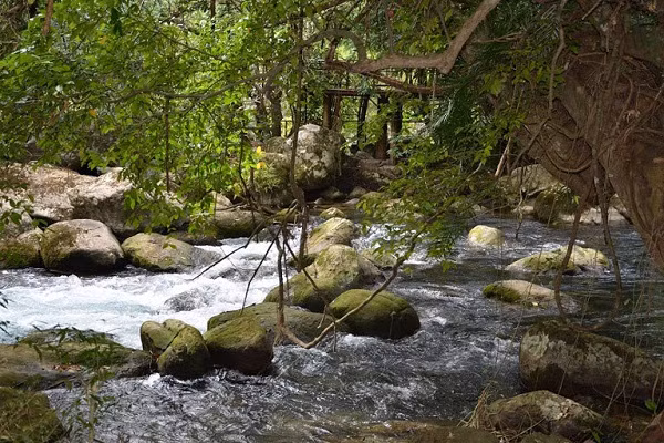 ‘Nen bo tuc boc mo di, lac hau lam roi’