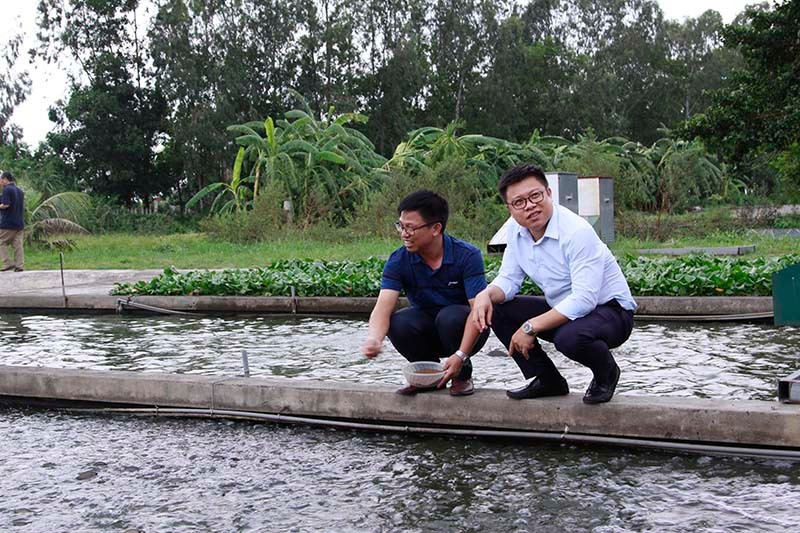 Anh em cung dao con song 'chay ra vang', dung co nghiep 300 ty dong