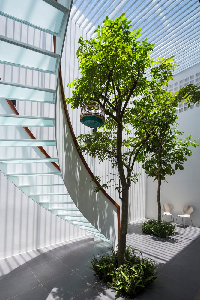 Nhờ có ánh sáng mà cây xanh có thể phát triển ở khoảng giữa nhà.