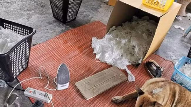 Co so san xuat khau trang gia tinh vi, suyt ra thi truong-Hinh-7