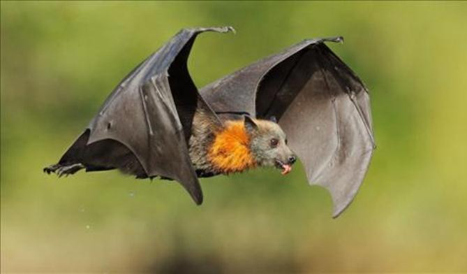 4 dau hieu troi thuong Than Tai sap ghe toi tham ban