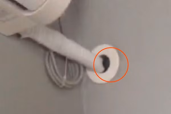 Thue khach san thay vat la tren ong thoat nuoc dieu hoa