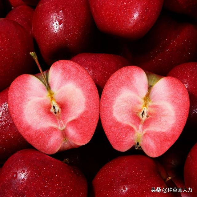 Do xo san lung qua do lam qua bieu Tet-Hinh-3