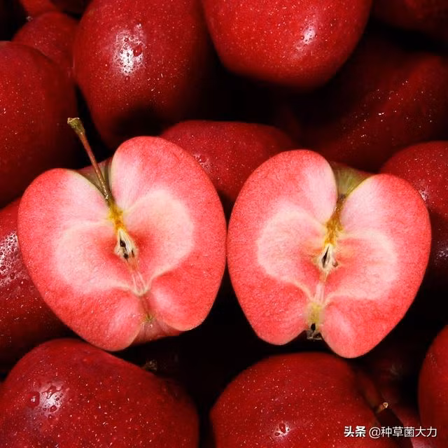 Do xo san lung qua do lam qua bieu Tet-Hinh-3