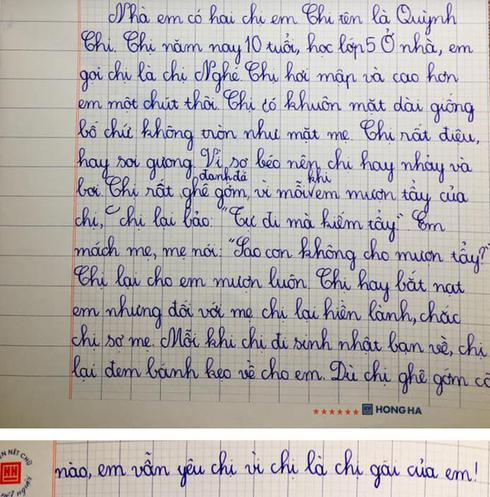 Bai van ta chi gai cua hoc sinh lop 2 khien dan mang 