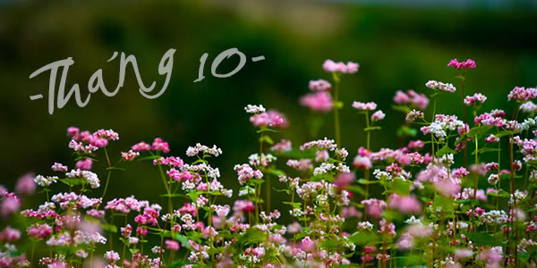 Thang sinh tiet lo gi ve tinh cach va con nguoi ban?-Hinh-10