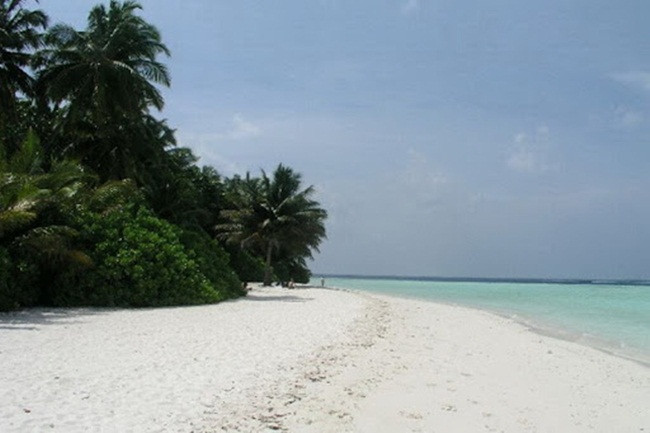 Các bệnh nhân sẽ được miễn phí điều trị khi chữa bệnh ở đây và được cá bác sĩ chăm sóc. 