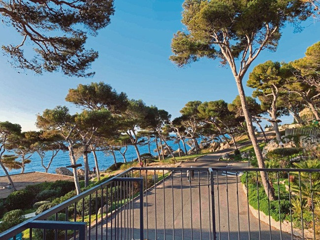 Khu nghỉ dưỡng nằm trong một khu rừng thông rộng và có lối đi thẳng ra biển.