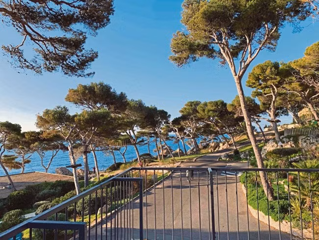 Khu nghỉ dưỡng nằm trong một khu rừng thông rộng và có lối đi thẳng ra biển.