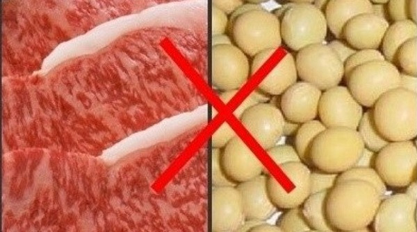 Thịt lợn không nên ăn chung với đậu tương - Ảnh: Minh họa