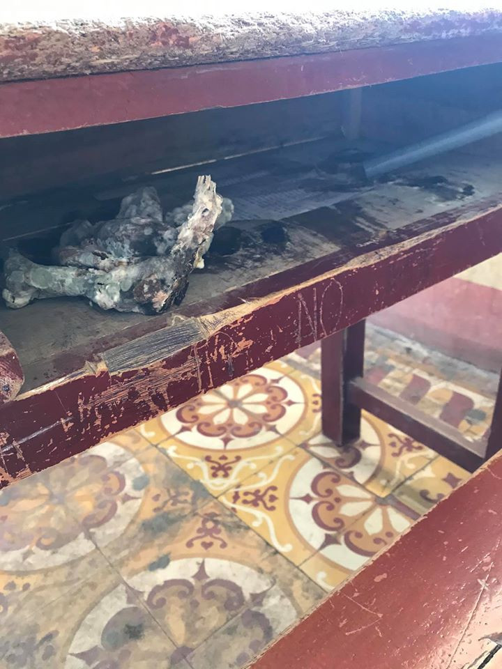 Tro lai truong sau ki nghi, het hon khi phat hien 