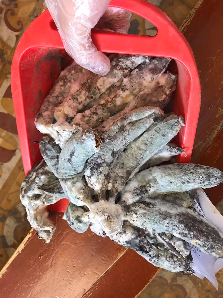 Tro lai truong sau ki nghi, het hon khi phat hien 