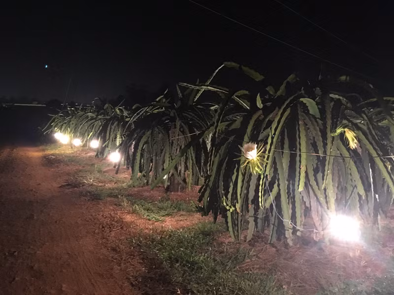 Trong bien co moi thay vo minh gioi giang