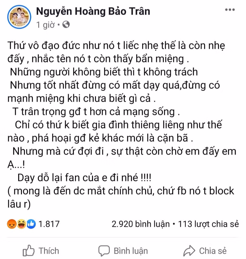 Ca si Bao Tran to Nam Em pha hoai hanh phuc gia dinh minh-Hinh-3