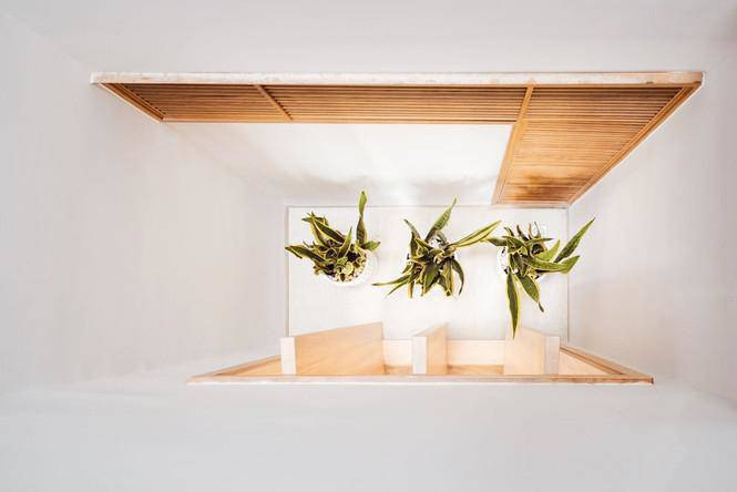 Cây xanh lan tỏa khắp các căn phòng.