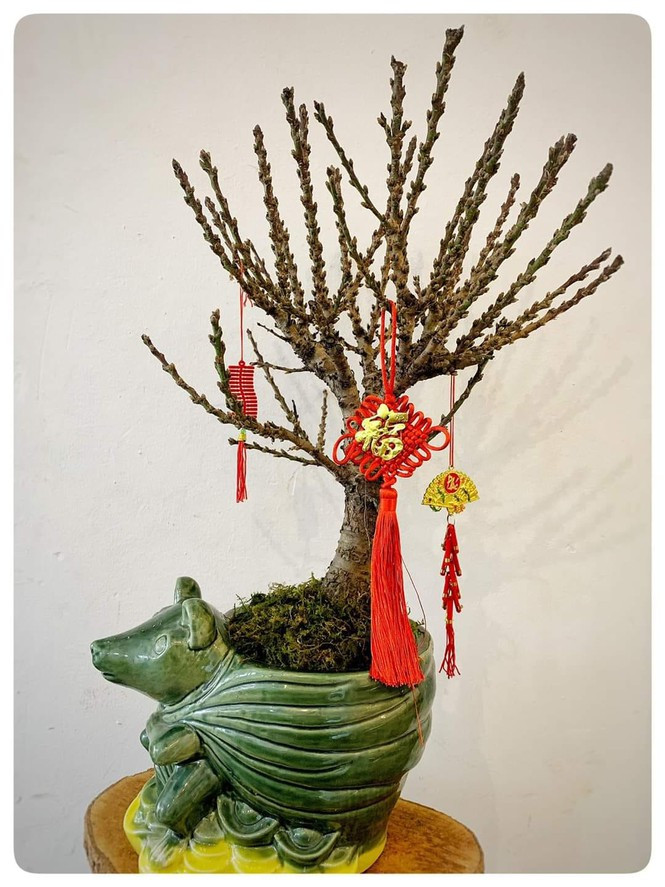 Hoa la tu Trung Quoc 'hut' khach hang choi truoc Tet ca thang-Hinh-3