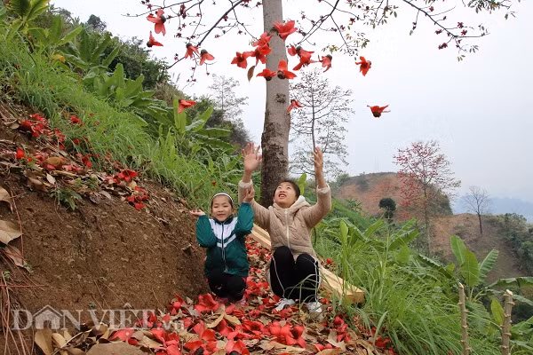 Vào mùa hoa gạo, đám trẻ thường rủ nhau đến vui chơi thỏa thích dưới tán cây đầy hoa với những trò chơi: Nấu ăn, bán hàng, xếp hoa theo hình... Do đó, mỗi gốc gạo cổ thụ thường in dấu những kỷ niệm đẹp của trẻ thơ.