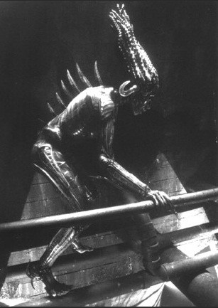 Ai da tao ra quai thu hut mau Chupacabra?-Hinh-4