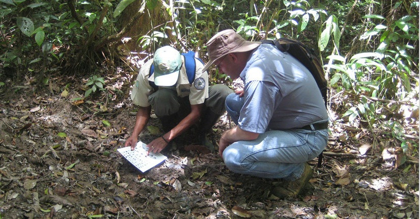 Ai da tao ra quai thu hut mau Chupacabra?-Hinh-2