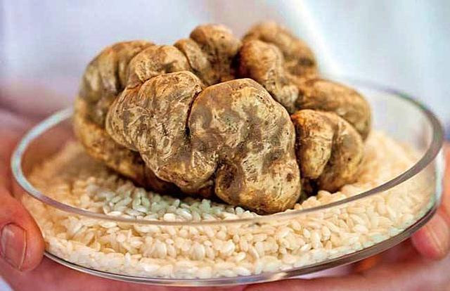 5 thuc pham dat nhat the gioi, mot mieng bang ca can nha