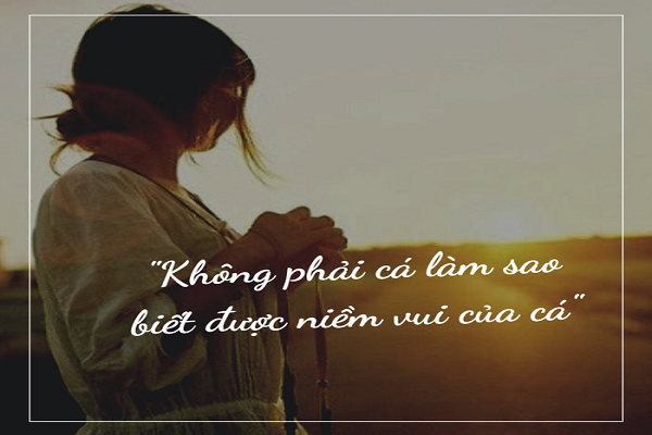Nguoi khon chang song vi ke khac nhin vao ma phai nhu the nay...