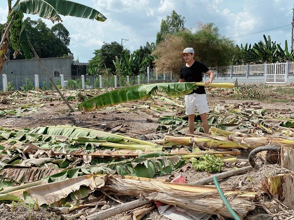 Sao Viet ve que vao mua dich: H'Hen Nie xay lua, Huong Ly di chan trau-Hinh-9